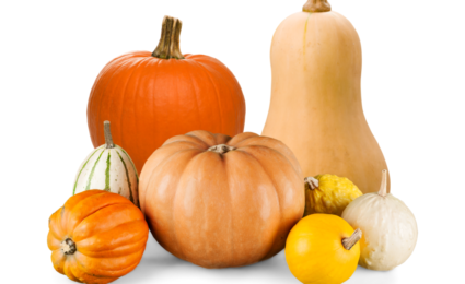 Les Trésors Cachés de la Courge Béninoise : Nutrition, Huiles Précieuses et Secrets de Longévité